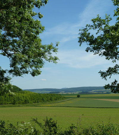 Schlossbrauerei-Rheder