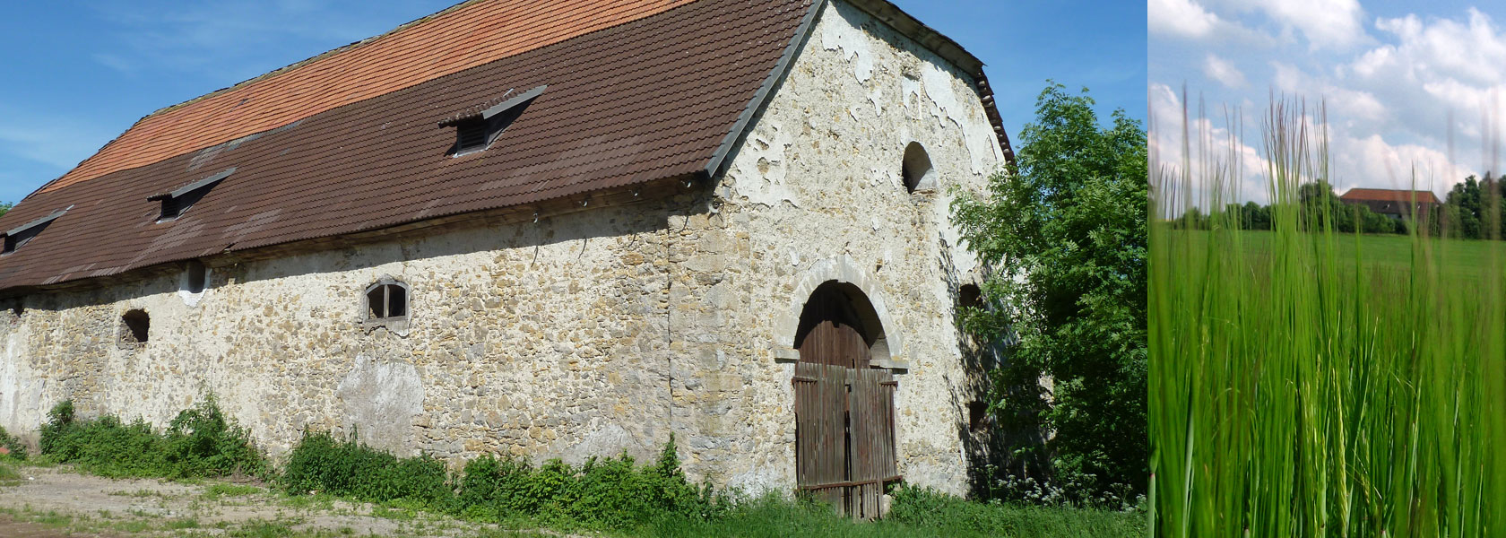 Die Antoinettenburg